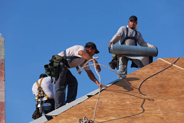 Best Roof Waterproofing Services  in Laramie, WY