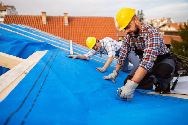 Best Metal Roofing Contractor  in Laramie, WY
